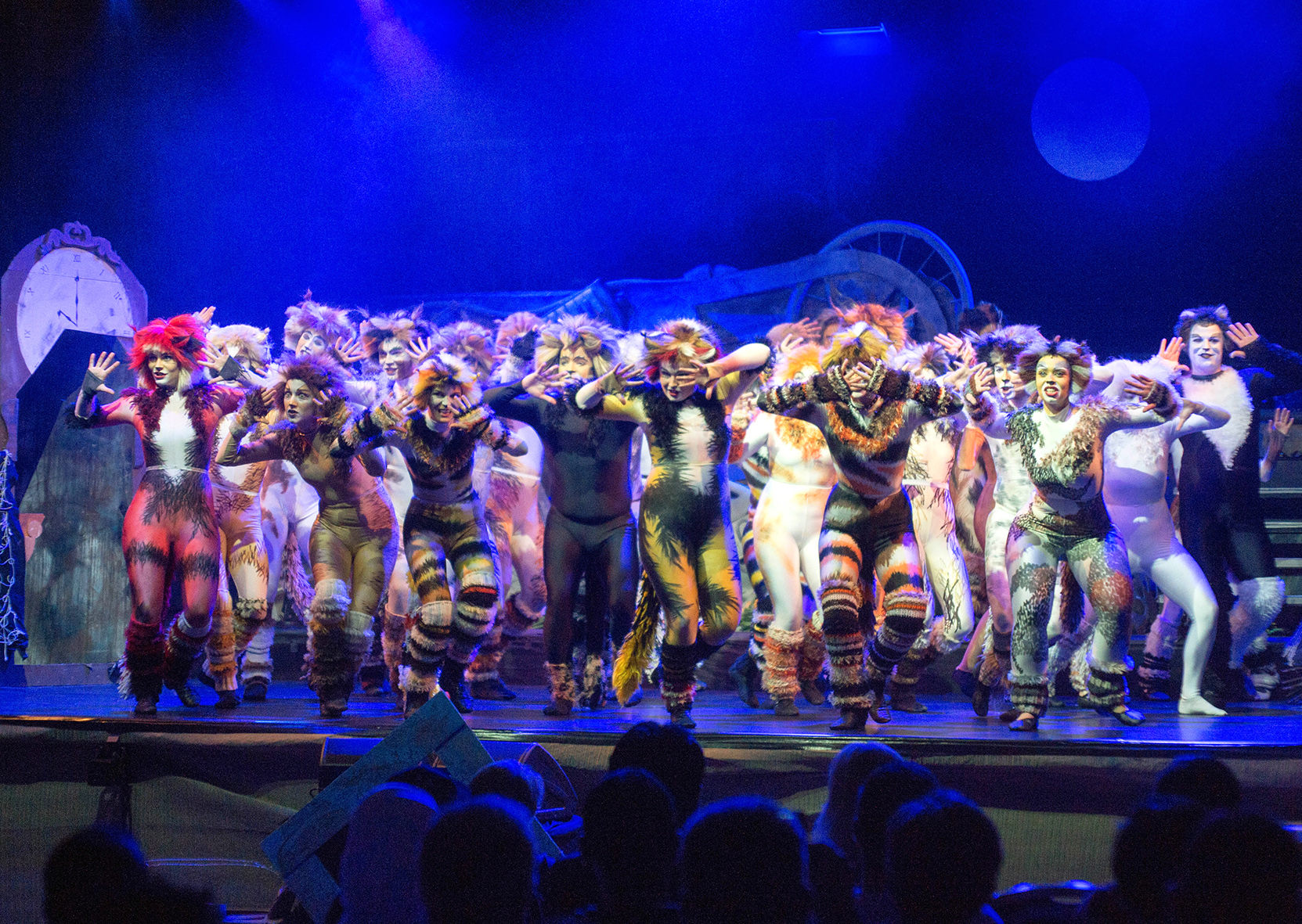 „Cats“ by Musical-Company Pinneberg (c) Björn Sieg